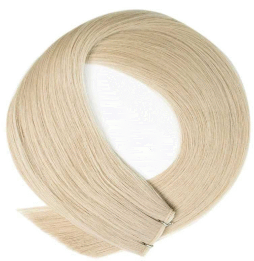 Genius weft kleur 12 anastasia pro extensions groothandel